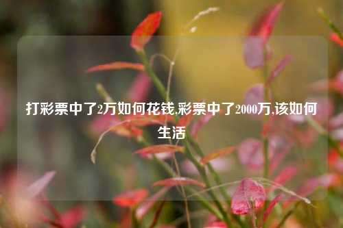 打彩票中了2万如何花钱,彩票中了2000万,该如何生活