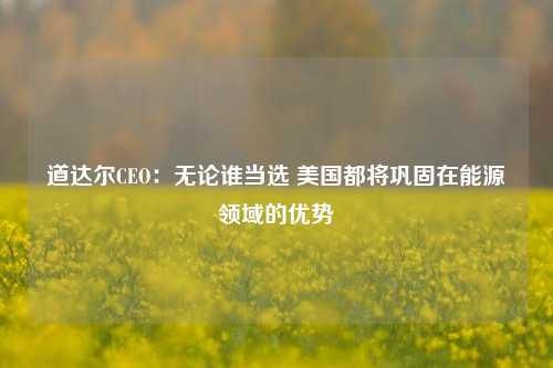 道达尔CEO：无论谁当选 美国都将巩固在能源领域的优势