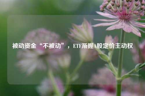 被动资金“不被动”，ETF渐握A股定价主动权