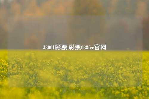 38001彩票,彩票038fcc官网