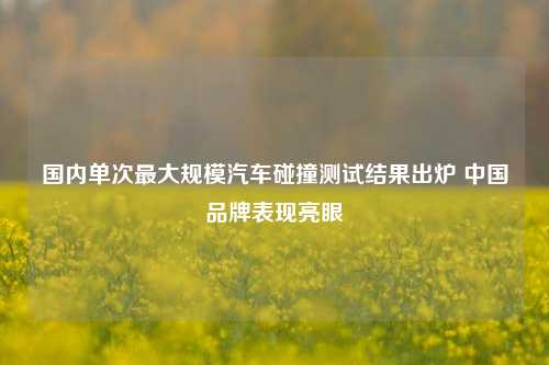 国内单次最大规模汽车碰撞测试结果出炉 中国品牌表现亮眼