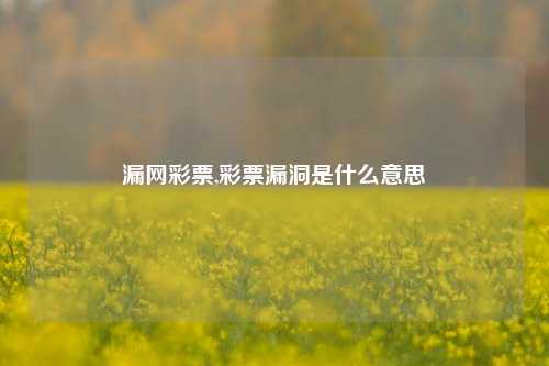 漏网彩票,彩票漏洞是什么意思