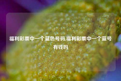 福利彩票中一个蓝色号码,福利彩票中一个蓝号有钱吗