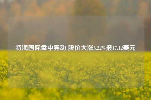 特海国际盘中异动 股价大涨5.22%报17.12美元