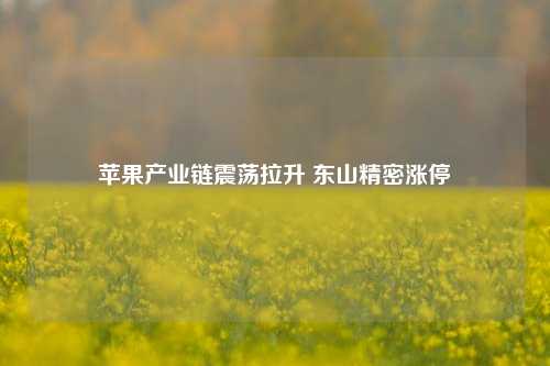 苹果产业链震荡拉升 东山精密涨停