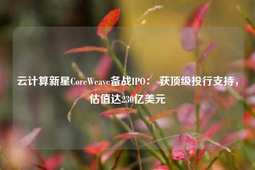 云计算新星CoreWeave备战IPO： 获顶级投行支持，估值达230亿美元