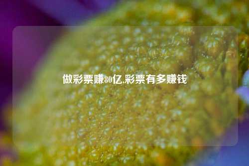 做彩票赚80亿,彩票有多赚钱