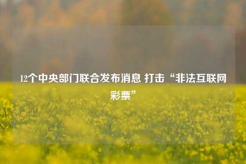 12个中央部门联合发布消息 打击“非法互联网彩票”