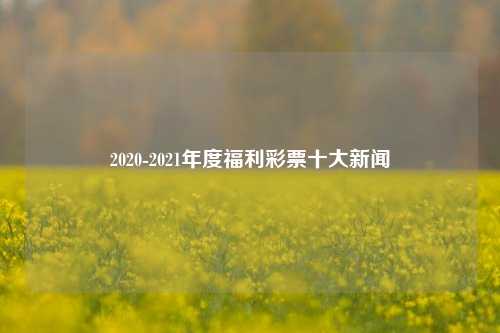 2020-2021年度福利彩票十大新闻