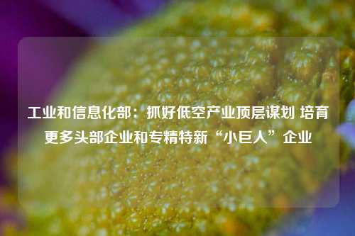 工业和信息化部：抓好低空产业顶层谋划 培育更多头部企业和专精特新“小巨人”企业