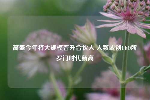 高盛今年将大规模晋升合伙人 人数或创CEO所罗门时代新高