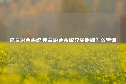 体育彩票系统,体育彩票系统兑奖明细怎么查询