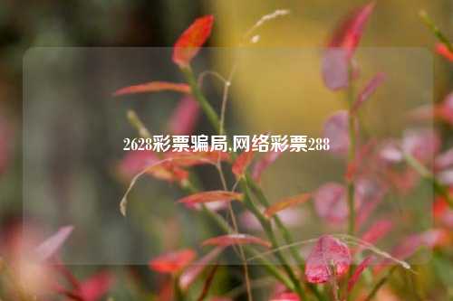 2628彩票骗局,网络彩票288