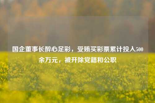 国企董事长醉心足彩，受贿买彩票累计投入500余万元，被开除党籍和公职