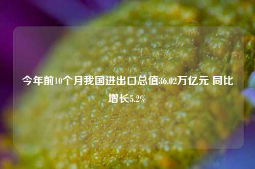 今年前10个月我国进出口总值36.02万亿元 同比增长5.2%