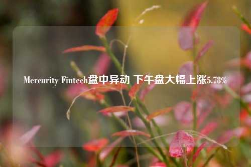 Mercurity Fintech盘中异动 下午盘大幅上涨5.78%