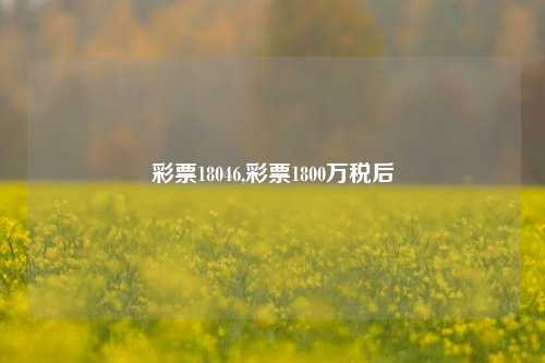 彩票18046,彩票1800万税后