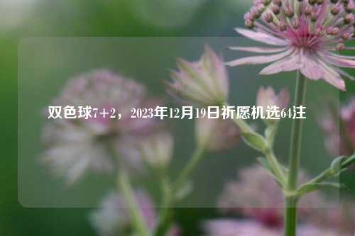 双色球7+2，2023年12月19日祈愿机选64注