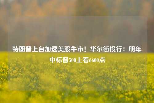 特朗普上台加速美股牛市！华尔街投行：明年中标普500上看6600点