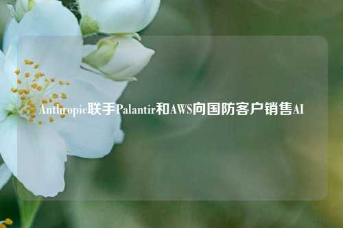 Anthropic联手Palantir和AWS向国防客户销售AI