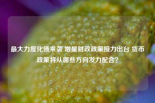 最大力度化债来袭 增量财政政策接力出台 货币政策将从哪些方向发力配合？