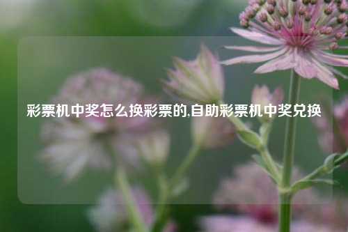 彩票机中奖怎么换彩票的,自助彩票机中奖兑换