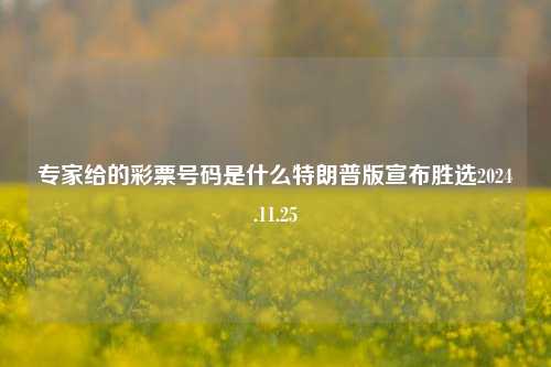 专家给的彩票号码是什么特朗普版宣布胜选2024.11.25