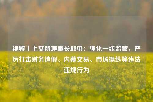 视频丨上交所理事长邱勇：强化一线监管，严厉打击财务造假、内幕交易、市场操纵等违法违规行为