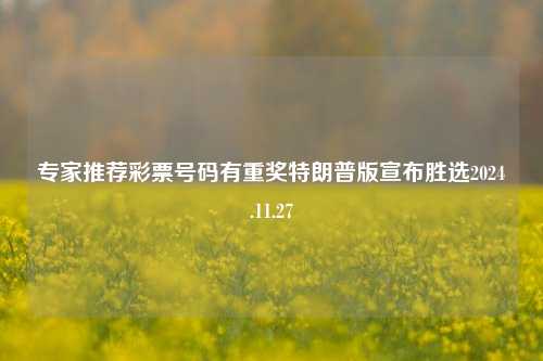 专家推荐彩票号码有重奖特朗普版宣布胜选2024.11.27