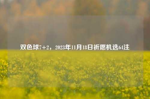 双色球7+2，2023年11月18日祈愿机选64注