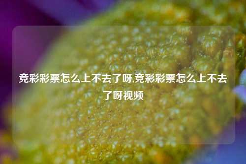 竞彩彩票怎么上不去了呀,竞彩彩票怎么上不去了呀视频