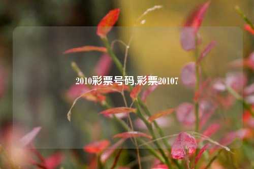 2010彩票号码,彩票20107