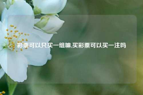 彩票可以只买一组嘛,买彩票可以买一注吗