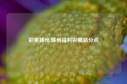 彩票滕州,滕州福利彩票站分点