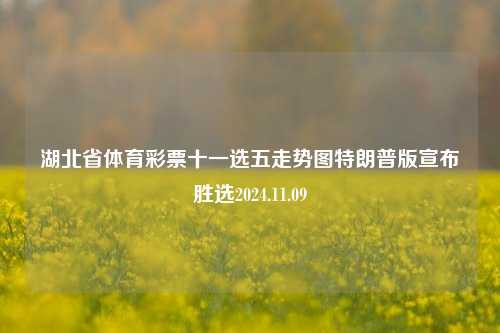 湖北省体育彩票十一选五走势图特朗普版宣布胜选2024.11.09