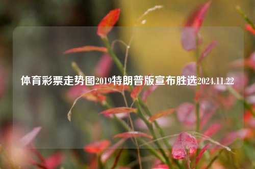 体育彩票走势图2019特朗普版宣布胜选2024.11.22