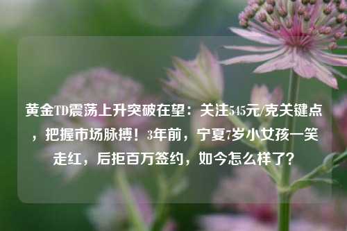 黄金TD震荡上升突破在望：关注545元/克关键点，把握市场脉搏！3年前，宁夏7岁小女孩一笑走红，后拒百万签约，如今怎么样了？