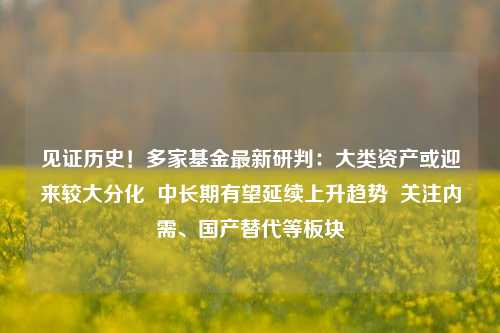 见证历史！多家基金最新研判：大类资产或迎来较大分化  中长期有望延续上升趋势  关注内需、国产替代等板块