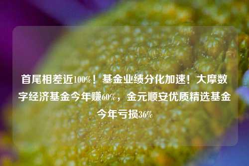 首尾相差近100%！基金业绩分化加速！大摩数字经济基金今年赚60%，金元顺安优质精选基金今年亏损36%