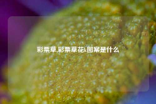 彩票草,彩票草花k图案是什么