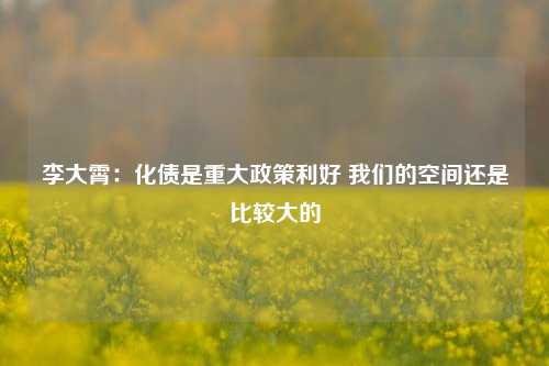 李大霄：化债是重大政策利好 我们的空间还是比较大的