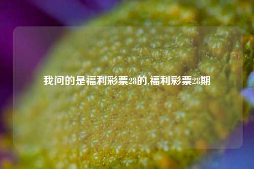 我问的是福利彩票28的,福利彩票28期