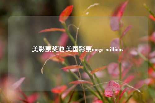 美彩票奖池,美国彩票mega millions