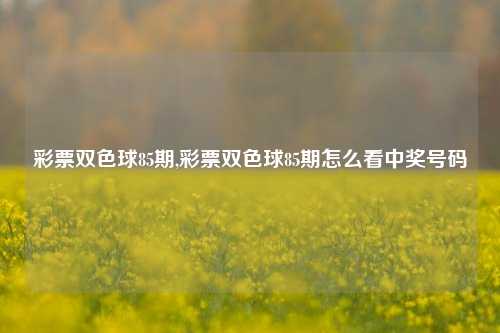 彩票双色球85期,彩票双色球85期怎么看中奖号码