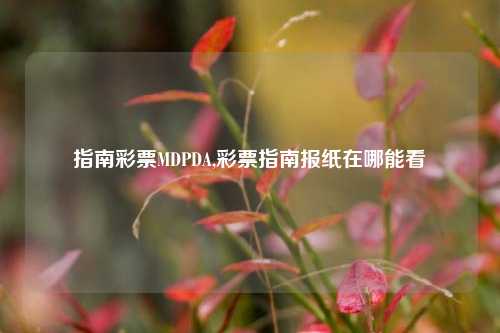 指南彩票MDPDA,彩票指南报纸在哪能看