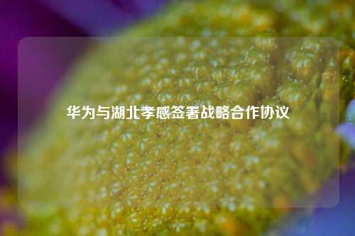 华为与湖北孝感签署战略合作协议