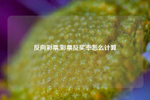 反向彩票,彩票反奖率怎么计算