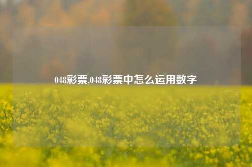 048彩票,048彩票中怎么运用数字