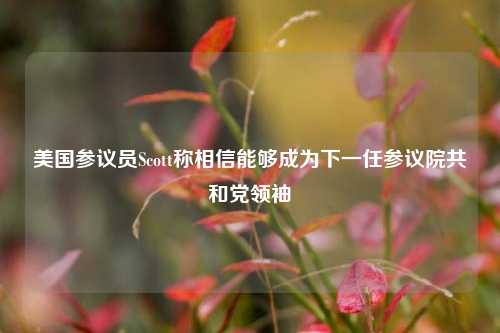 美国参议员Scott称相信能够成为下一任参议院共和党领袖