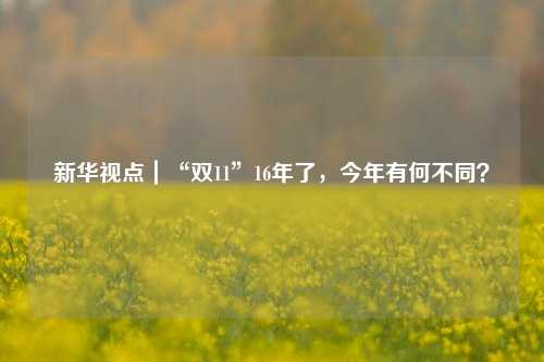 新华视点｜“双11”16年了，今年有何不同？